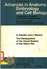 THE DEVELOPMENT OF THE VISUAL SYSTEM OF THE ALBINO RAT PDF电子版封面 0540070796