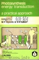 PHOTOSYNTHESIS ENERGY TRANSDUCTION A PRACTICAL APPROACH PDF电子版封面 EDITED BY M·F·HIPKINS