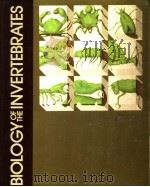 BIOLOGY OF THE INVERTEBRATES PDF电子版封面 CLEVELAND P.HICKMAN