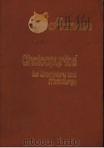 CHALCOPYRITE ITS CHEMISTRY AND METALLURGY PDF电子版封面 0070253838 FATHI HABASHI