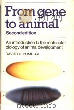 FROM GENE TO ANIMAL SECOND EDITION PDF电子版封面 0521381924