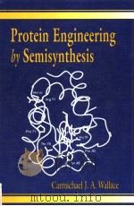 PROTEIN ENGINEERING BY SEMISYNTHESIS PDF电子版封面 0849347270 CARMICHAEL J.A.WALLACE