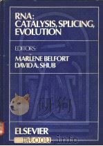 RNA:CATALYSIS,SPLICING,EVOLUTION PDF电子版封面 0444812105 MARLENE BELFORT AND DAVID A.SH