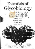 ESSENTIALS OF GLYCOBIOLOGY PDF电子版封面 0879695595