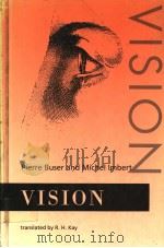 VISION PDF电子版封面