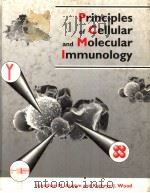 PRINCIPLES OF CELLULAR AND MOLECULAR IMMUNOLOGY PDF电子版封面 0198542976 JONATHAN M.AUSTYN AND KATHRYN