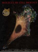 MOLECULAR CELL BIOLOGY PDF电子版封面 7716760010 JAMES DARNELL,HARVEY LODISH,DA