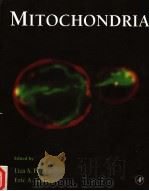 METHODS IN CELL BIOLOGY VOLUME 65 PDF电子版封面 012544169X LIZA A.PON ERIC.A.SCHON