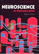 NEUROSCIENCE AN ILLUSTRATED GUIDE PDF电子版封面 0136173411 ROGER BARKER