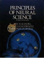 PRINCIPLES OF NEURAL SCIENCE THIRD EDITION PDF电子版封面 0444015620 ERIC R.KANDEL JAMES H.SCHWART