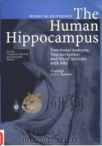 THE HUMAN HIPPOCAMPUS PDF电子版封面 3540632050