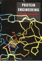 PROTEIN ENGINEERING PRINCIPLES AND PRACTICE（ PDF版）