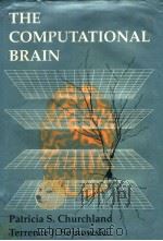 THE COMPUTATIONAL BRAIN PDF电子版封面 0262031884