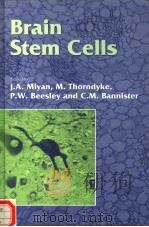BRAIN STEM CELLS PDF电子版封面 185996222X J.A.MIYAN M.THORNDYKE AND P.W
