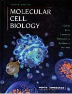 MOLECULAR CELL BIOLOGY（ PDF版）