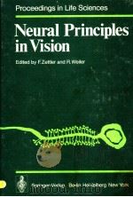 NEURAL PRINCIPLES IN VISION PDF电子版封面 3540078398 F.ZETTLER AND R.WEILER