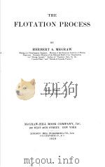 THE FLOTATION PROCESS PDF电子版封面 THEODORE J·HOOVER