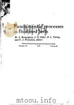 FUNDAMENTAL PROCESSES IN FLUIDIZED BEDS（ PDF版）