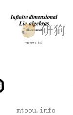 INFINITE DIMENSONAL LIE ALGEBRAS SECOND EDITION PDF电子版封面 0521321336 VICTOR G.KAC