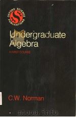 UNDERGRADUATE ALGEBRA A FIRST COURSE PDF电子版封面 0198532482 C.W.NORMAN