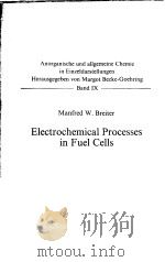 ELECTROCHEMICAL PROCESSES IN FUEL CELLS PDF电子版封面 MANFRED W.BREITER