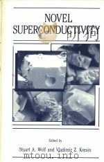 NOVEL SUPERCONDUCTIVETY PDF电子版封面 STUART A.WOLF AND VLADIMIR Z.K