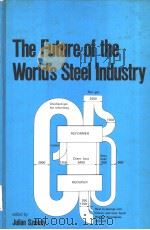 THE FUTURE OF THE WORLD'S STEEL INDUSTRY（ PDF版）