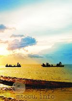 THE IRON AND STEEL INDUSTRY IN THEDEVELOPING COUNTRIES（ PDF版）