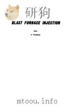 BLAST FURNACE INJECTION PDF电子版封面 0909520046 N.STANDISH