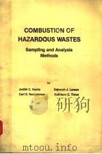 COMBUSTION OF HAZARDOUS WASTES SAMPLING ANALYSIS METHODS PDF电子版封面 0815510195 JUDITH C.HARRIS DEBORAH J.LAR