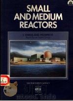 SMALL AND MEDIUM REACTORS 1 STATUS AND PROSPECTS 1991 PDF电子版封面 926413560X