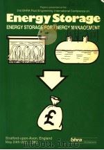 PAPERS PRESENTED AT THE 2ND BHRA FLUID ENGINEERING INTERNATIONAL CONFERENCE ON ENERGY STORAGE 1983 PDF电子版封面 0906085845