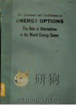 FIFTH INTERNATIONAL CONFERENCE ON ENERGY OPTIONS THE ROLE OF ALTERNATIVES IN THE WORLD ENERGY SCENE 1987 PDF电子版封面