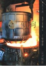 ASIA STEEL  1998   1998  PDF电子版封面    PETER H SCHOLES 