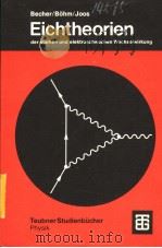 EICHTHEORIEN DER STARKEN UND ELEKTROSCHWACHEN WECHSELOIRKUNG PDF电子版封面