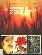 DIAGNOSIS OF HERBICIDE DAMAGE TO CROPS 1981 PDF电子版封面 0112408729