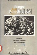 FUNGAL BIOTECHNOLOGY PDF电子版封面
