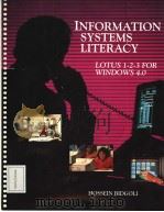 INFORMATION SYSTEMS LITERACY PDF电子版封面