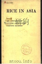 RICE IN ASIA PDF电子版封面 0860081346 THE ASSOCIATION OF JAPANESE AG