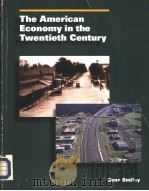 THE AMERICAL ECONOMY IN THE TWENTIETH CENTURY PDF电子版封面 053883238X