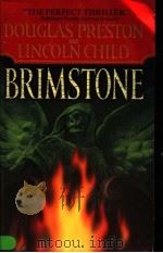 DOUGLAS PRESTON AND LINCOLN CHILD BRIMSTONE PDF电子版封面 0446612758