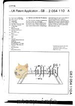 UK PATENT APPLICATION GB 2 054 110 A PDF电子版封面