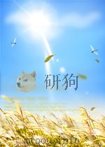 THE PROBABILISTIC INTERPRETATION OF THE CONCEPT OF STRUCTURAL SAFETY AND THE STATISTICAL APPROACH TO PDF电子版封面