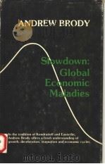 SLOWDOWN:GLOBAL ECONOMIC MALADIES 1985 PDF电子版封面 0803916493