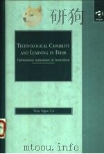 TECHNOLOGICAL CAPABILITY AND LEARNING IN FIRMS（1999 PDF版）