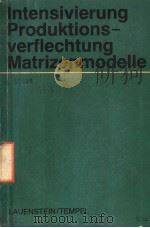 INTENSIVIERUNG PRODUKTIONS-VERFLECHTUNG MATRIZENMODELLE（ PDF版）