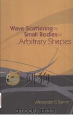 WAVE SCATTERING BY SMALL BODIES OF ARBITRARY SHAPES（ PDF版）