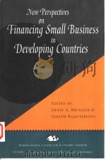 NEW PERSPECTIVES ON FINANCING SMALL BUSINESS IN DEVELOPING COUNTRIES 1995 PDF电子版封面 7558153411 ERNST A.BRUGGER SARATH RAJAPAT