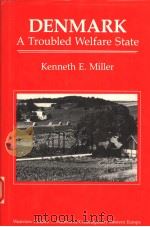 DENMARK:A TROUBLED WELFARE STATE（1991 PDF版）