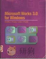 MICROSOFT WORKS 3.0 FOR WINDOWS（1995 PDF版）